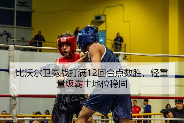 bi-wo-er-wei-mian-zhan-da-man-hui-he-dian-shu-sheng-qing-zhong-liang-ji-ba-zhu-di-wei-wen-gu-2-524.jpg