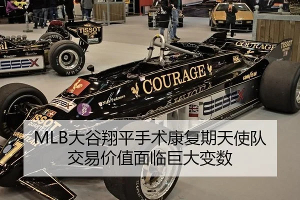 da-gu-xiang-ping-shou-shu-kang-fu-qi-tian-shi-dui-jiao-yi-jia-zhi-mian-lin-ju-da-bian-shu-2-514.jpg