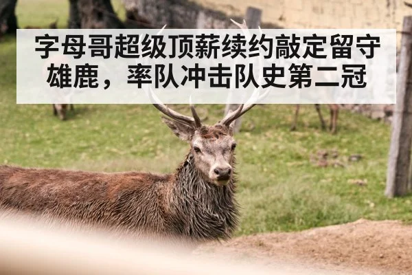字母哥超级顶薪续约敲定留守雄鹿，率队冲击队史第二冠