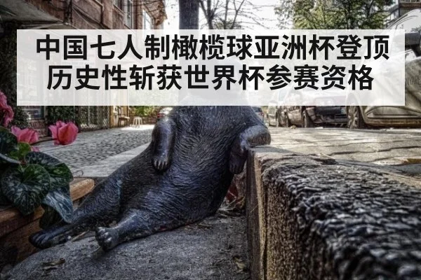 中国七人制橄榄球亚洲杯登顶 历史性斩获世界杯参赛资格